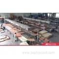 Title: **Waterproof Film Faced Plywood for Construction and Marine Use**